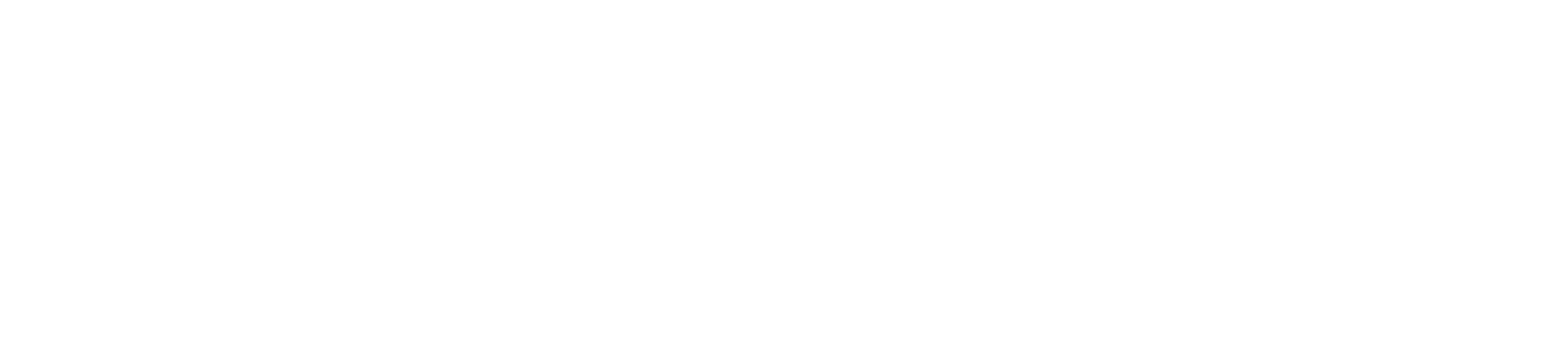 RGB-weiss-Logo-Wort-Bild-MarktpreisImmo